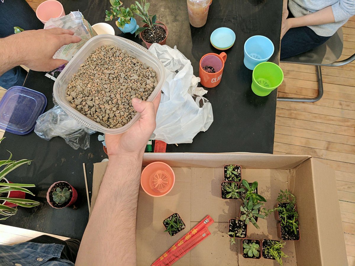 Team is planting plants into pots