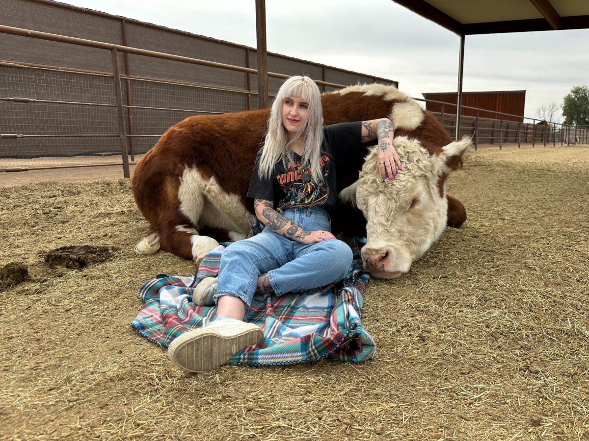 A woman with silver blonde hair sitting with her back against a resting cow that is enjoying getting pet on the head. 